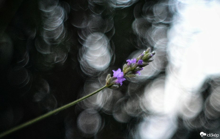 Budapest IV.ker - Újpest