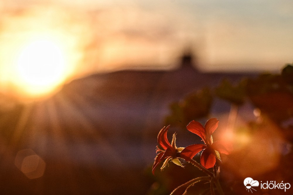 Budapest IV.ker - Újpest