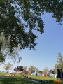 Balatonvilágos