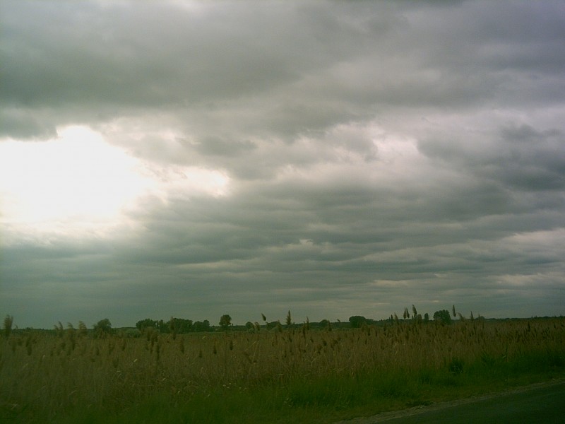 Ceglédbercel Alberisra között.