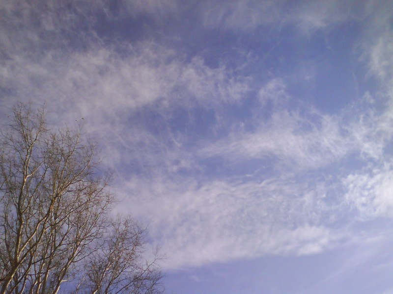 2008.11.20 Ceglédbercel