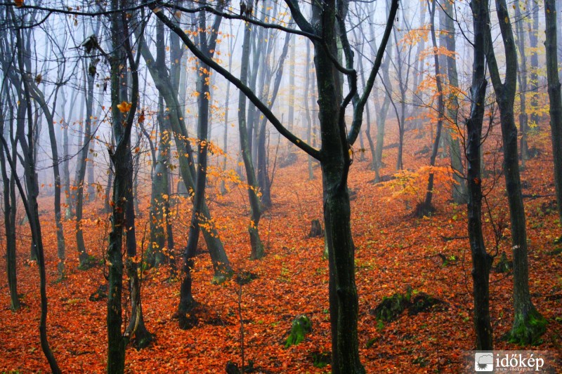 Valahol a Gömör-Tornai karszton