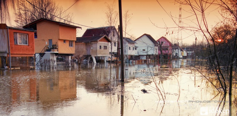Sajátos vízivilág a Tiszán