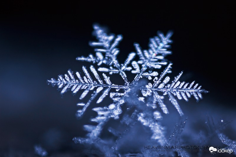 Majdnem sikerült...