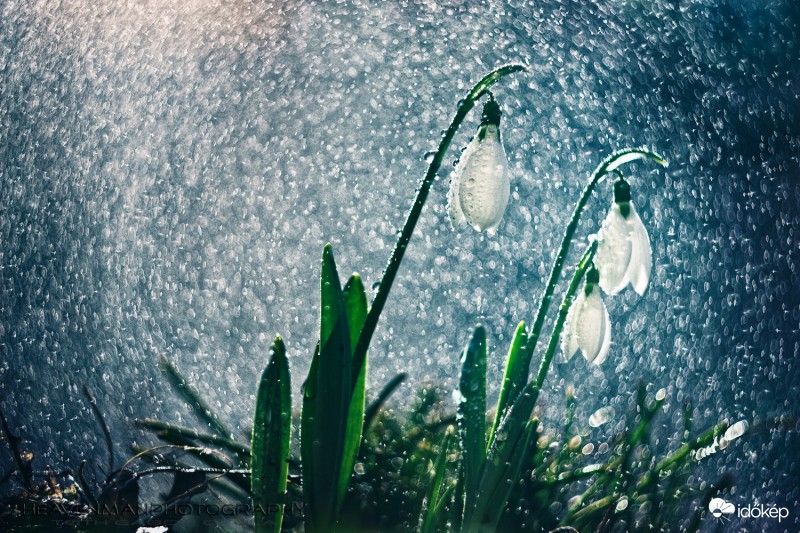 Bokehizmus, hardstyle!