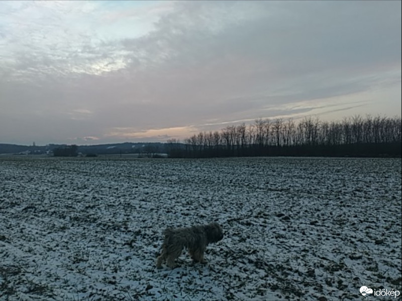 Óhíd