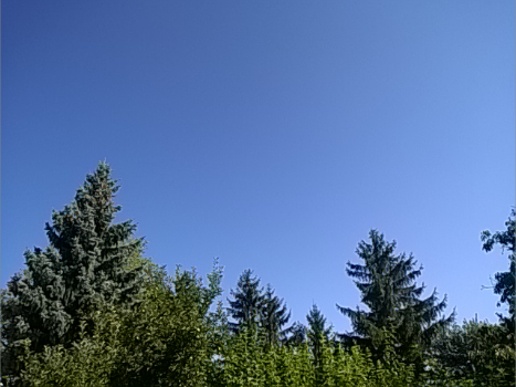 Türje