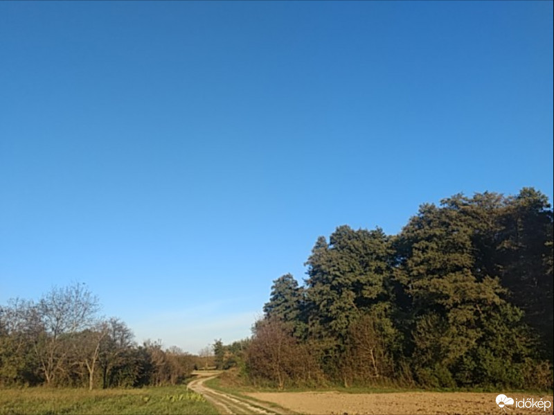 Kisgörbő
