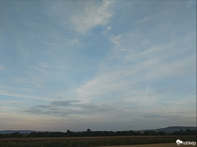 Kisgörbő