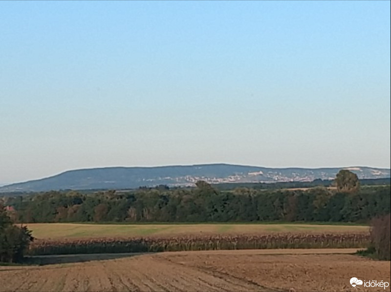 Kisgörbő