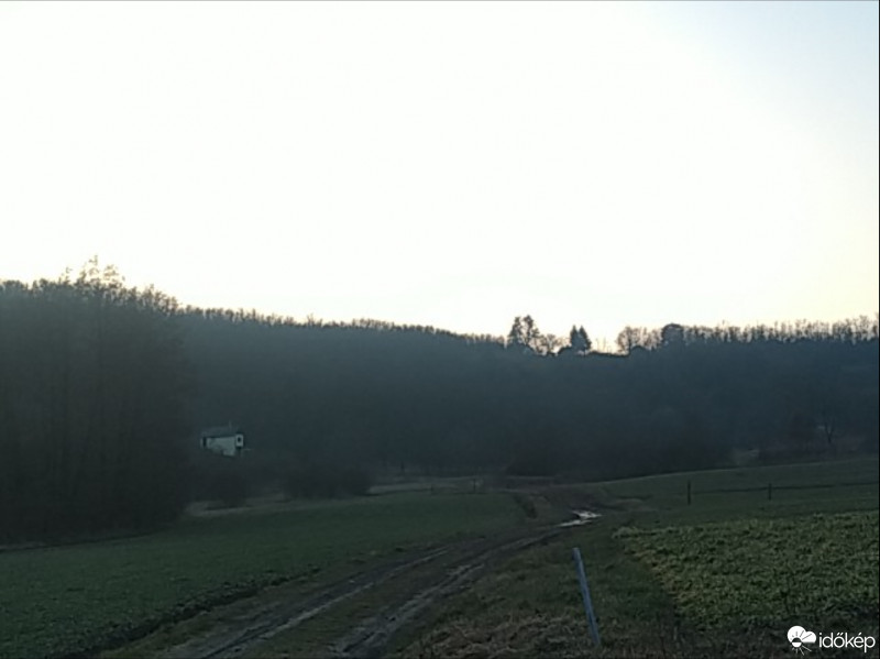 Kisgörbő