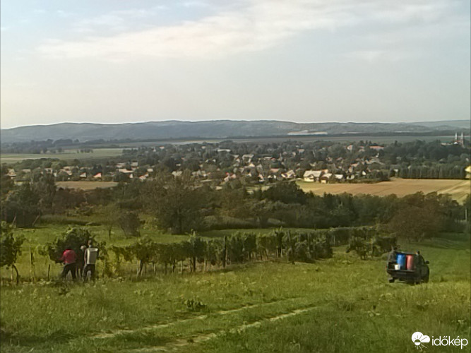 Türje