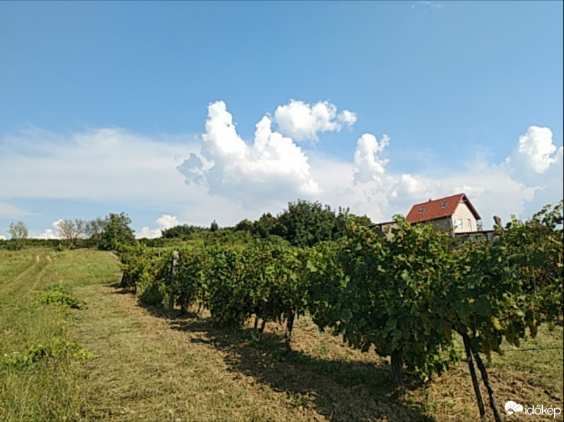 Türje