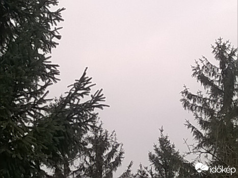 Türje