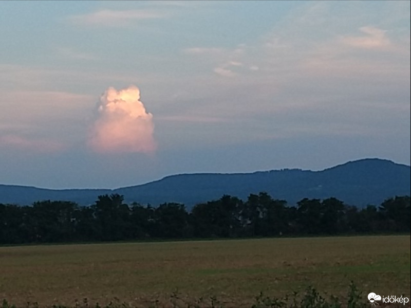 Kisgörbő