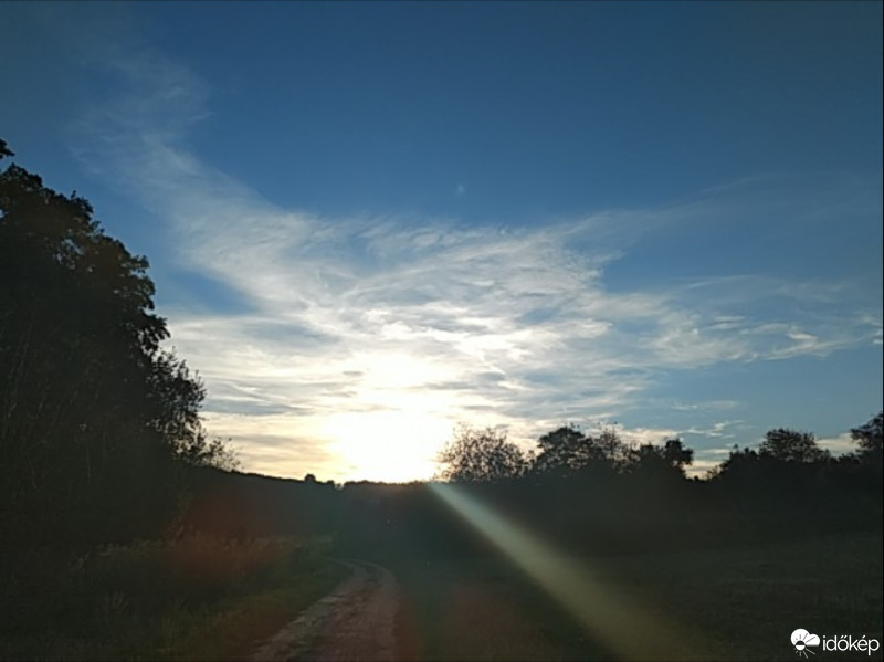 Kisgörbő