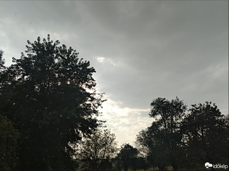Kisgörbő