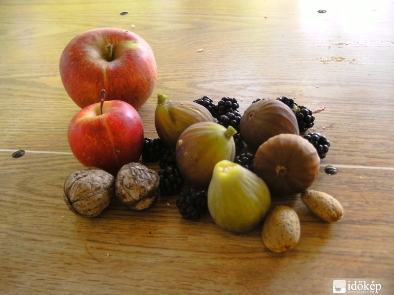 Az ősz utolsó kincsei