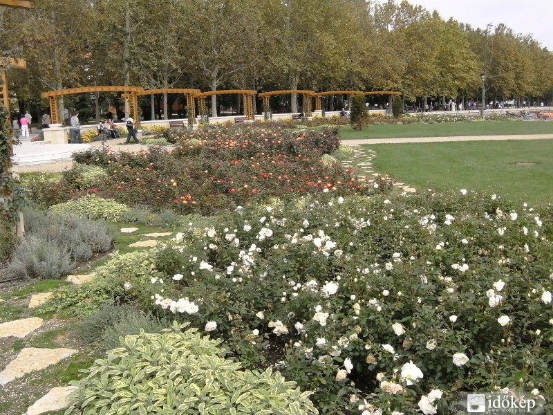 Balatonfüredi rózsakert