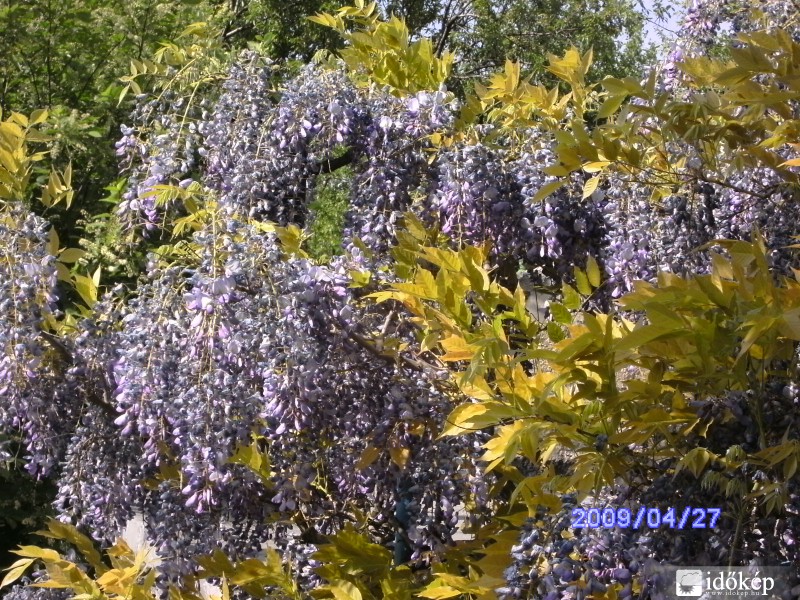 Egy kis előzetes a tavaszból