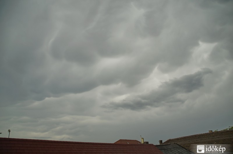 Zivatar után 2016-05-24