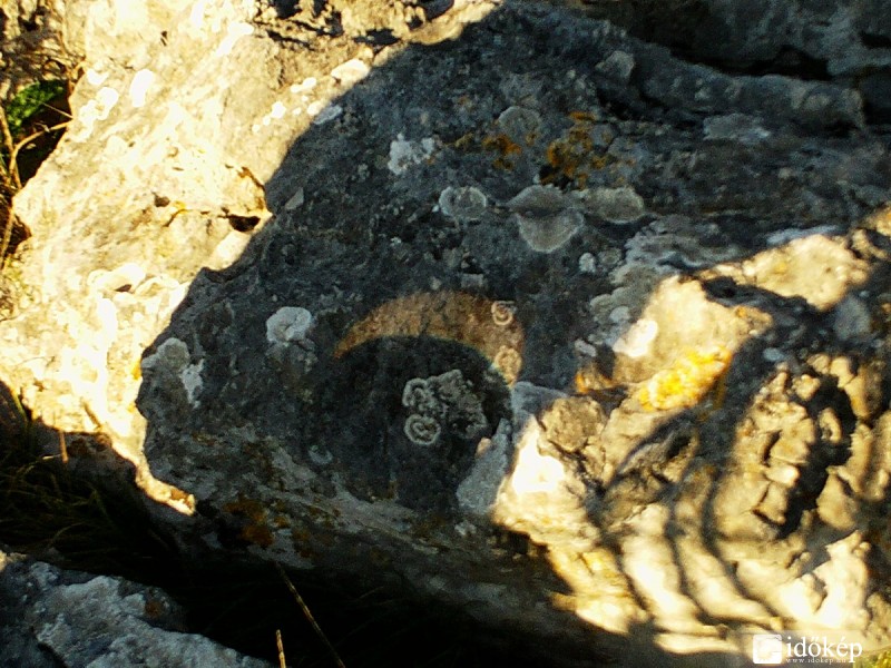 Quadrantida & Napfogyatkozás expedició Horvát ország 2011\'