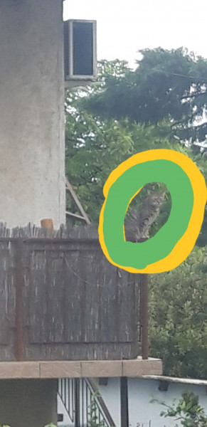 Érd