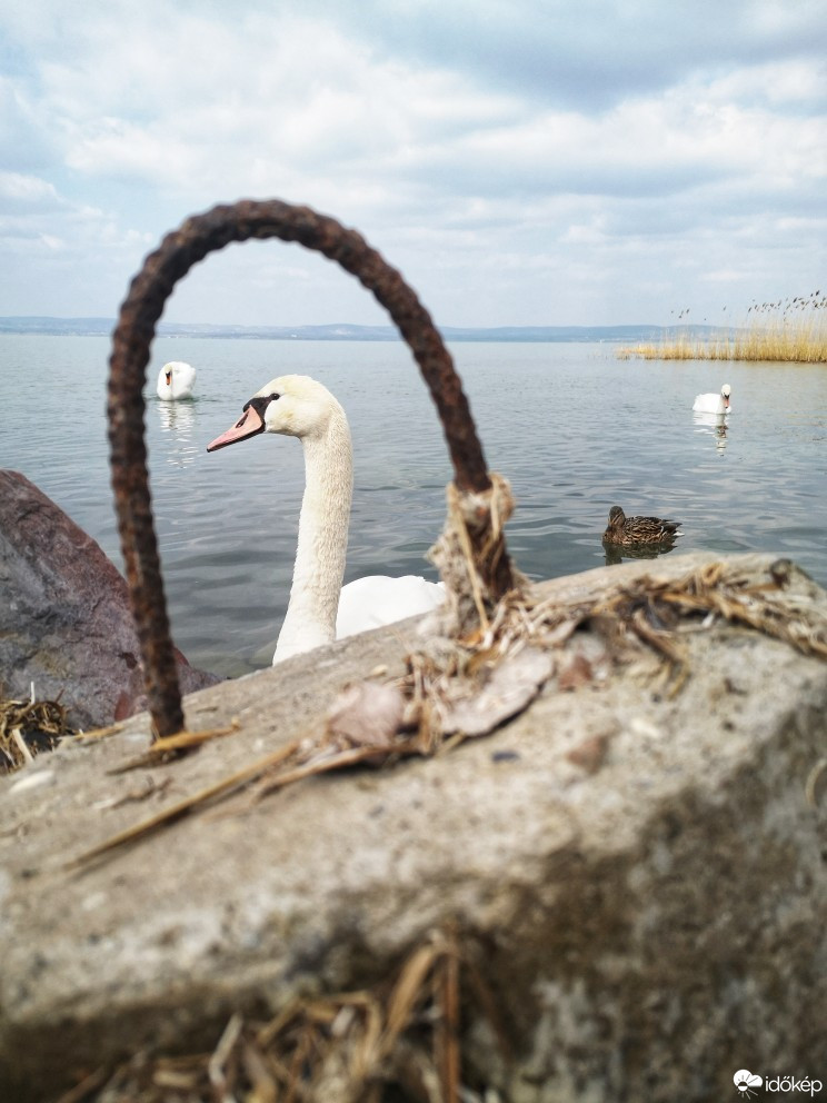 Balatonszemes