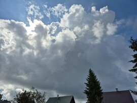 Nyírszőlős