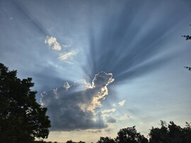 Nyírszőlős