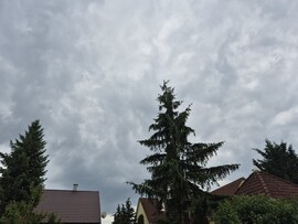 Nyírszőlős