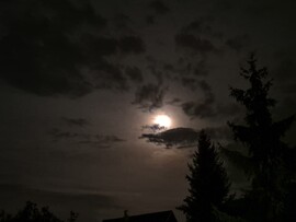 Nyírszőlős