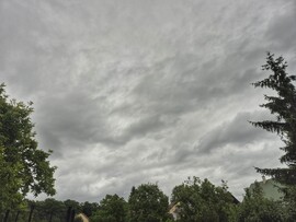 Nyírszőlős
