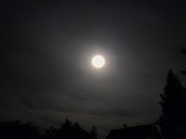 Nyírszőlős