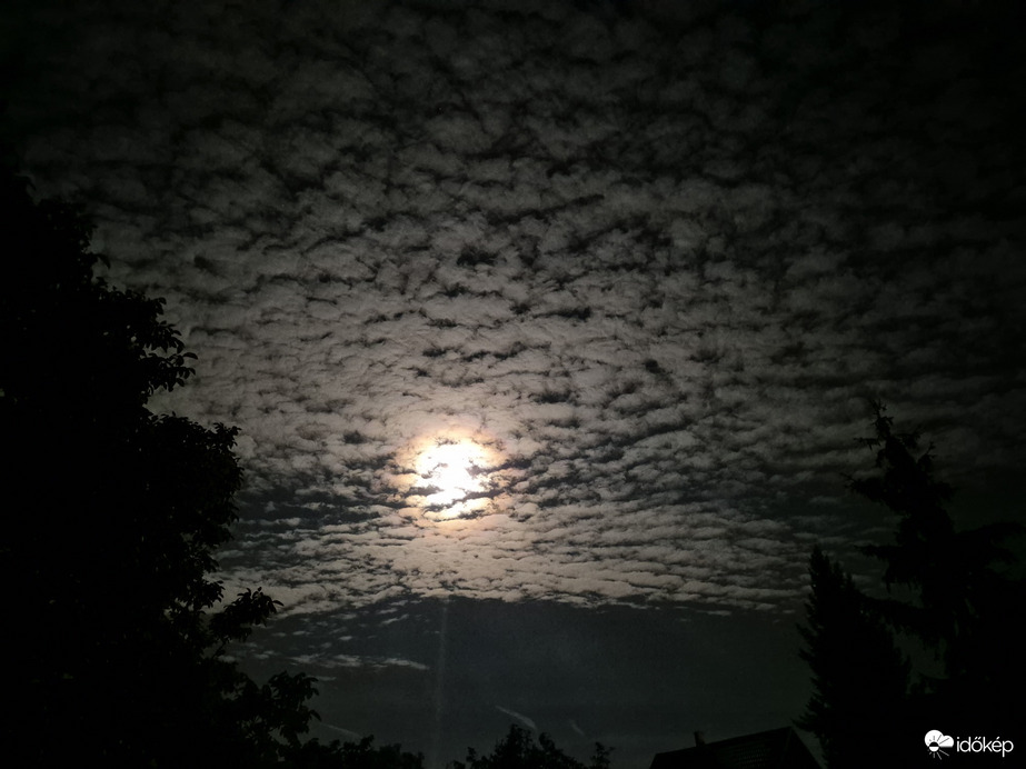 Nyírszőlős