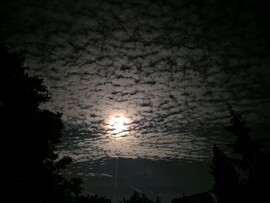 Nyírszőlős