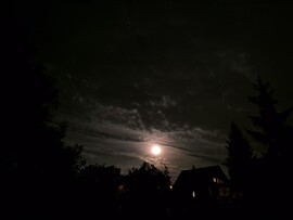 Nyírszőlős