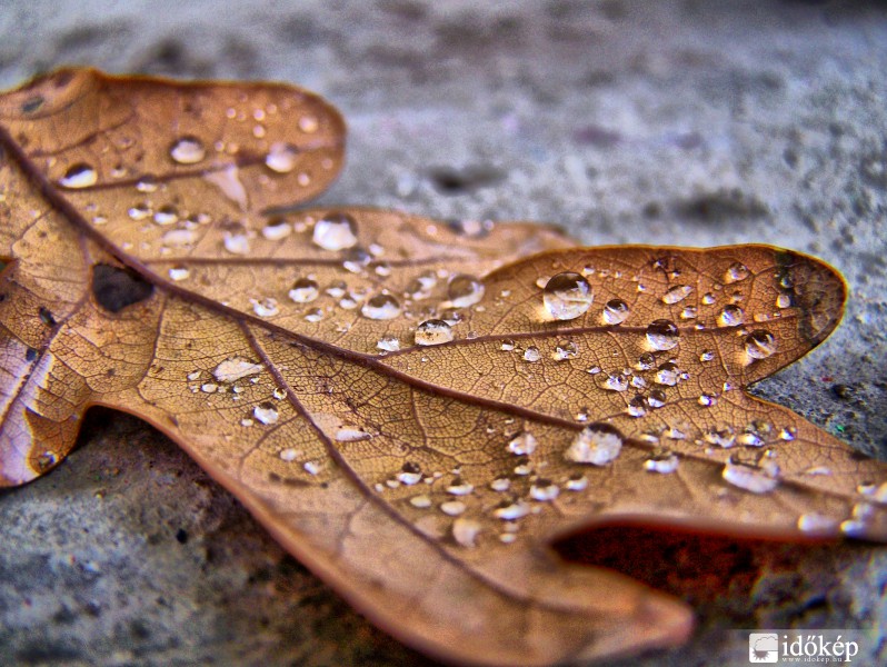 Gyöngyökkel tarkítva