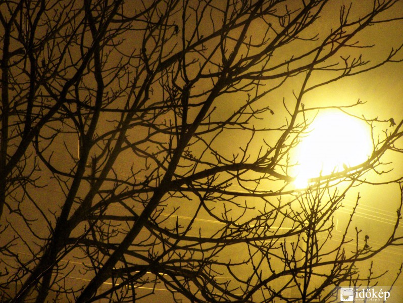 Novemberi ködös este