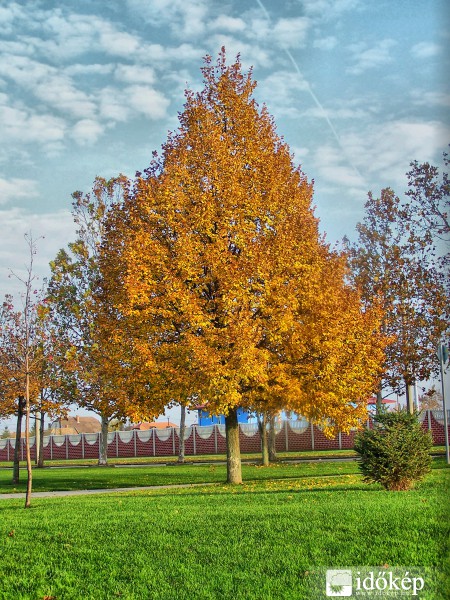 Gyönyörű ruhában