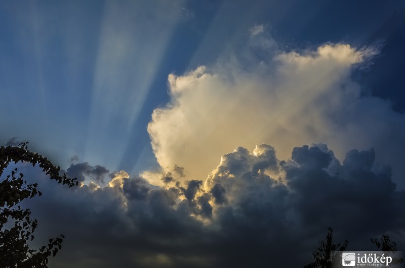 Csodálatos üllő tyndallal