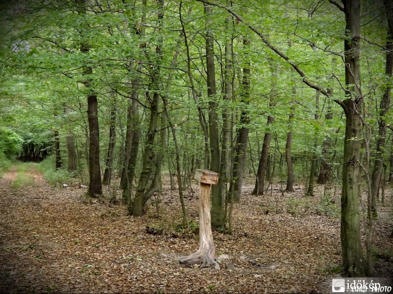 ...a sózó magánya!