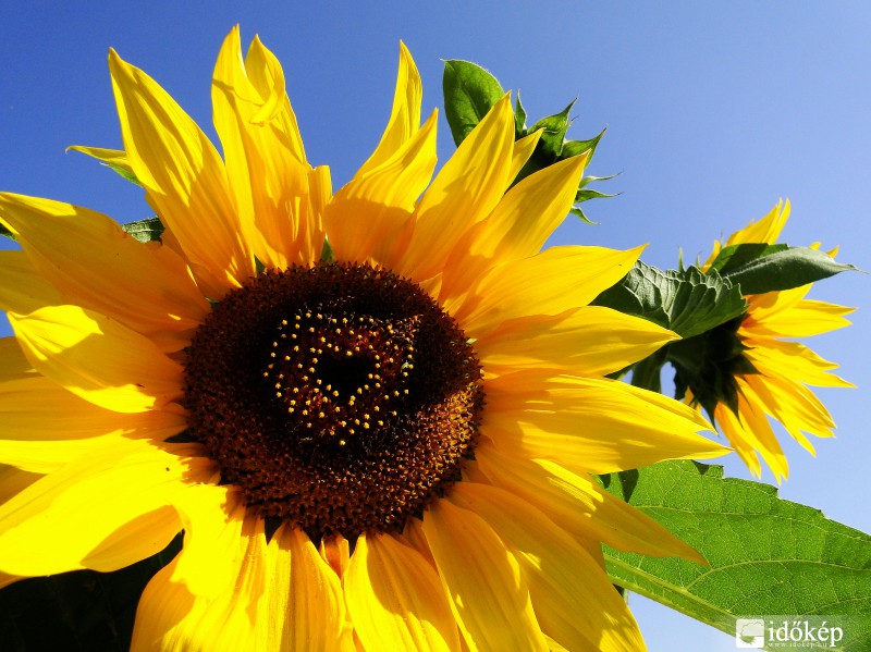 mert szeret engem...:)