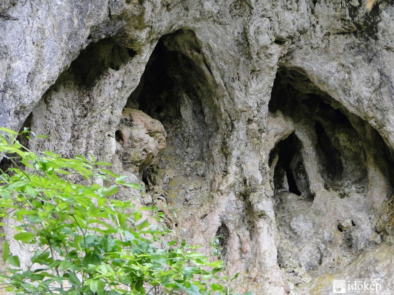 Talán egy troll? :)