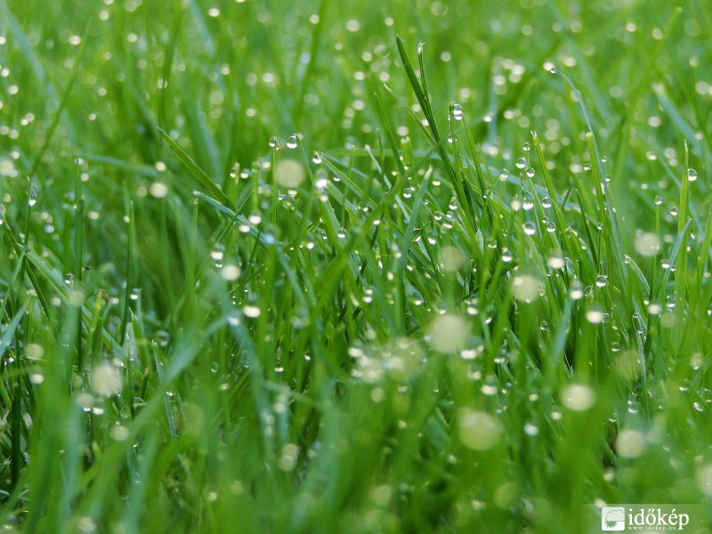 Harmatos jó reggelt!