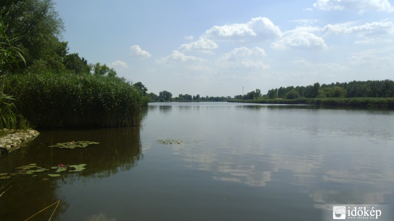 Tiszaugi Holtág