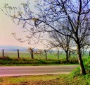 Pincehely