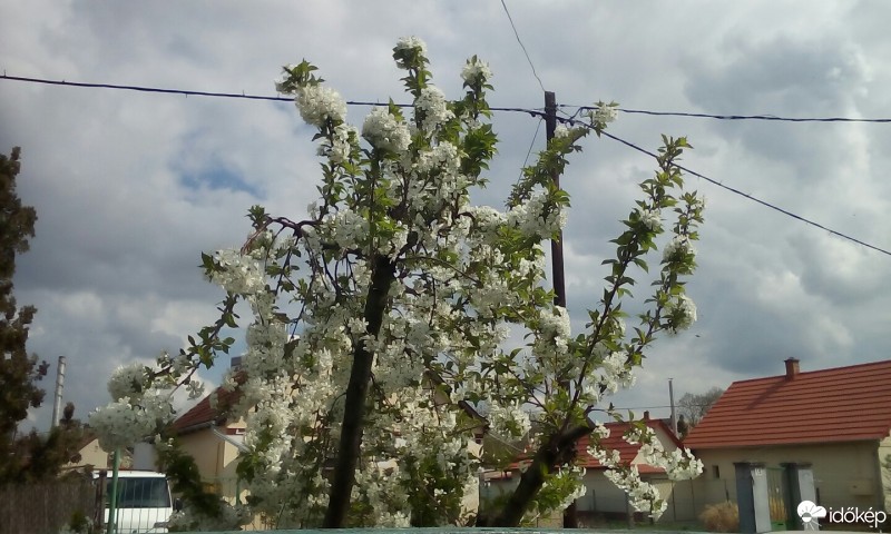 Szolnok