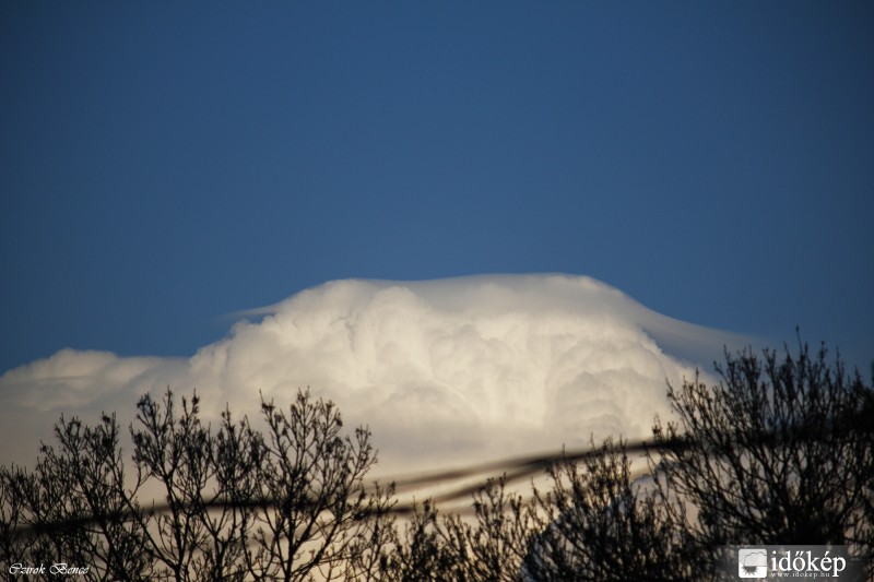 Cumulonimbus pileus 