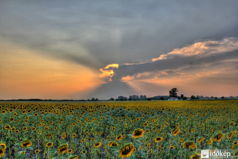 Takarásban a lemenő nap